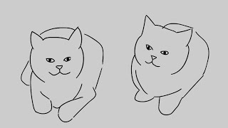 william, we're cats but it's animated