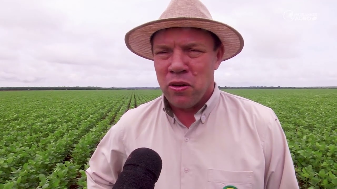 Pouca chuva provoca atrasos e replantio de soja em Querência (MT) | Patrulheiro Agro ep.162