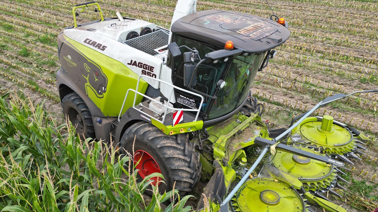 Mais Silage 2025 | Claas Jaguar + Case IH | Pleizier & Timmer