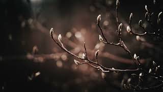 Eric Krolak - Not Quite the Same - (Official Audio Stream)