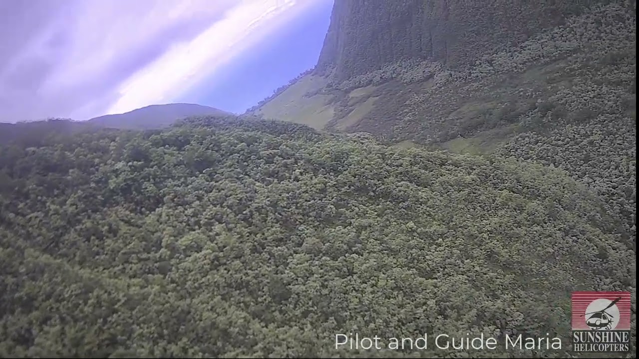 Waimanu Valley, Big Island Sunshine Helicopter Tours