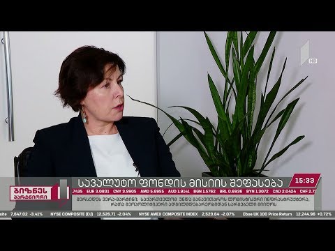 #ბიზნესპარტნიორი - სავალუტო ფონდის მისიის შეფასება