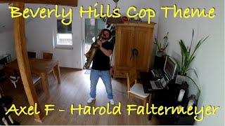 Beverly Hills Cop Theme - Axel F - Harold Faltermeyer (Rolax Sax Cover)