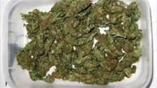 Moist Weed Laissez Pharaoh