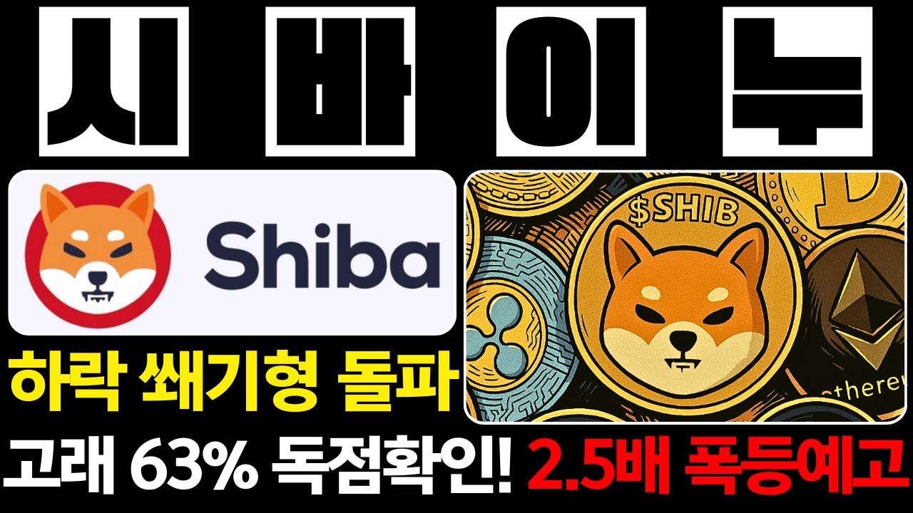 [시바이누 코인] 2.5배 상승!? 고래 지갑 63% 독점 확인! 이제 이 타이밍 알고가셔야 작년처럼 안물립니다
