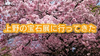 上野の宝石展に行ってきた〜七つ屋志のぶの宝石匣とのコラボの宝石展〜桜の花見ももう少し