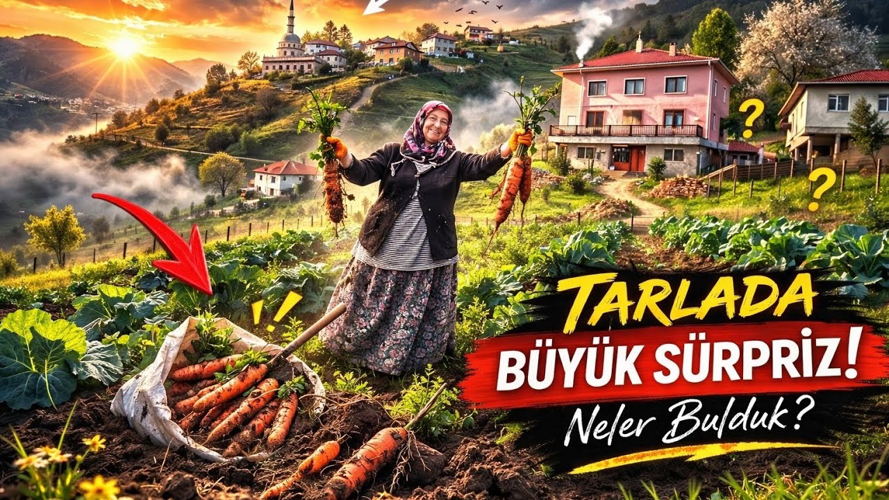 ​🥕 TOPRAKTAN FIŞKIRAN BEREKET! Komşu Tarlasında Dev Havuç Hasadı