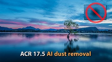 How to automatically remove dust from photos