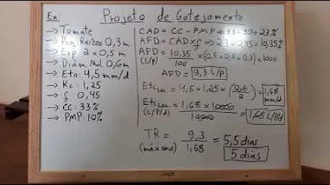 Qual a mangueira ideal para irrigação por gotejamento?