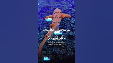 تلاوة خاشعة عطرة مباركة جميلة عذبة للشيخ خالد الجليل ماتيسر من سورة غافر