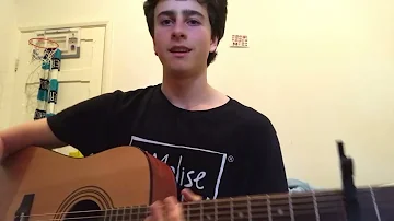 You’re On Your Own, Kid - Taylor Swift Guitar Cover by Luca