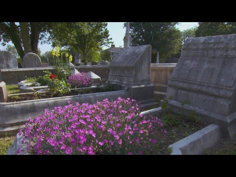 Video: Graveside Have Plot: Kan jeg plante blomster på en kirkegård?