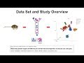 Single cell analysis with partek flow software identifying group biomarkers