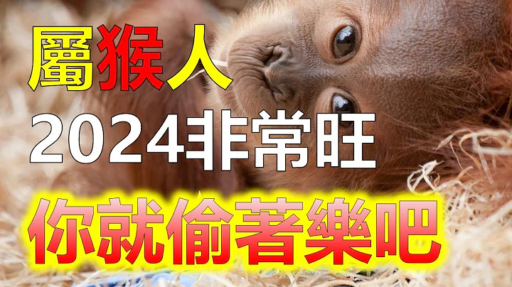 2024生肖運勢，十二生肖屬猴的你，你就偷著樂吧，2024年你的運氣真是旺盛，2024年，屬猴的你將迎來好運連連，如同喜鵲帶來的吉祥。快樂的時光就要來臨了，讓我們一起樂觀向前，屬猴的你偷著樂吧！ - 天天要聞