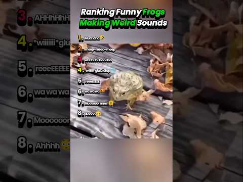 Ranking Funny Frogs Making Weird Sounds Frog Frogcore Frogshort