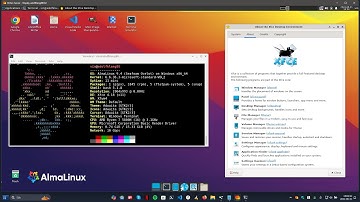 AlmaLinux 9 and how to install XFCE via Windows 11 - WSL - GWSL - Linux - 2024