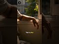 Why glass is transparent and wood is not