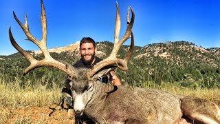 CHAD MENDES 218" MONSTER MULE DEER