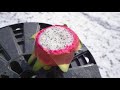 Slicing Dragon Fruit with swords from Zelda, The Hobbit and Sword Art Online