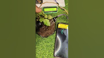 Soil moisture detection using blynk #shorts