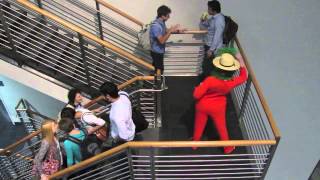 Cbh Work Hard Twerk Harder Harlem Shake