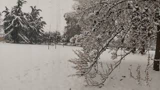 Rd Tech Tips Live Stream