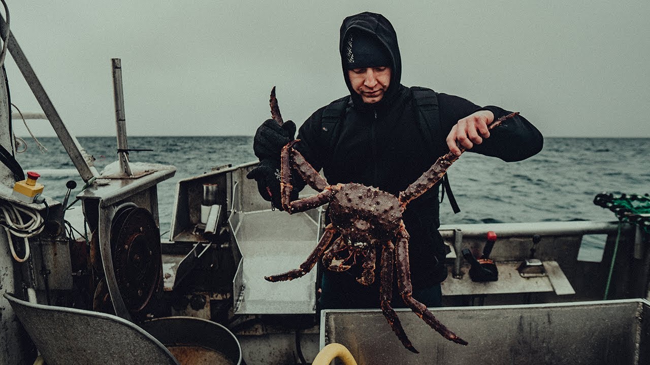 King crab fishing in Norway North (Karalisko krabju zveja Norvēģijas