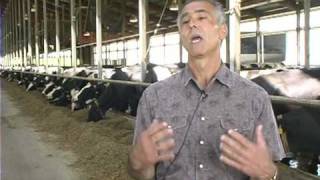 Larson Acres: Keeping our cows healthy screenshot 3