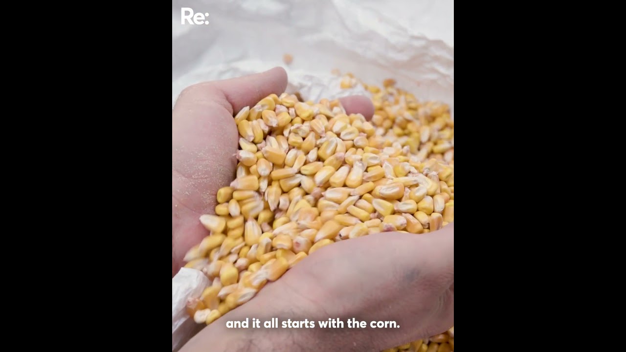Part 1/2 How your corn chip gets made 