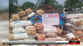 Ndlea Special Ops Nab Wanted Drug Baron Running Empire Under Business Front