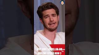 Why Sony Cancelled The Amazing Spider-Man 3