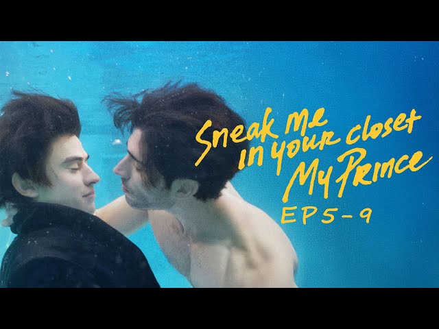 Sneak Me in Your Closet My Prince