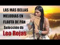 LAS MAS BELLAS MELODIAS EN FLAUTA DE PAN - MUSICA QUE YA NO SE OYE EN LAS RADIOS