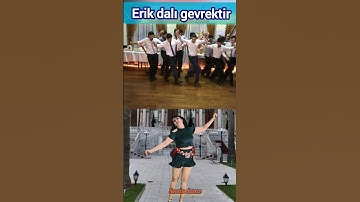 Thumbnail of erik dalı gevrektir trend dance🍒🫐 #erikdalı #turkishdance