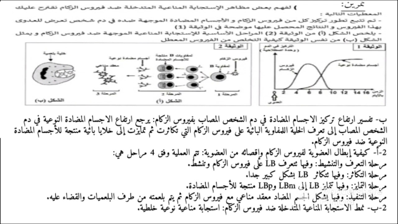 تمرين رائع حول آلية تصدي الجهاز المناعي لفيروس الزكام رابعة متوسط