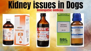kidney issues in dogs । homeopathic medicine । कुत्तों की किडनी की परेशानी  होमियोपैथी मेडिसिन। by Durabull kennel 361 views 3 months ago 3 minutes, 41 seconds