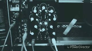 Celebrity ModularBeats01 Wealth