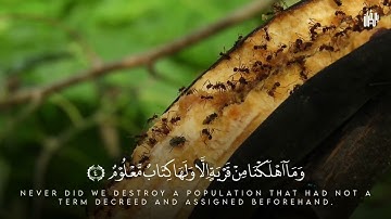 تلاوة عطرة للقارئ هزاع البلوشي لما تيسر من سورة الحجر Surah Al Hijr - Hazaa El Balouchi