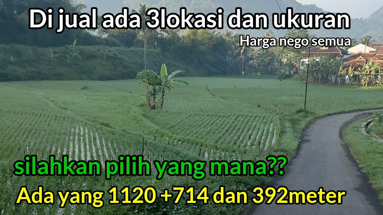 Kuta Waringin  Bikin betah!! Sawah Mau Di jual Tiga lokasi Silahkan pilih harga nego