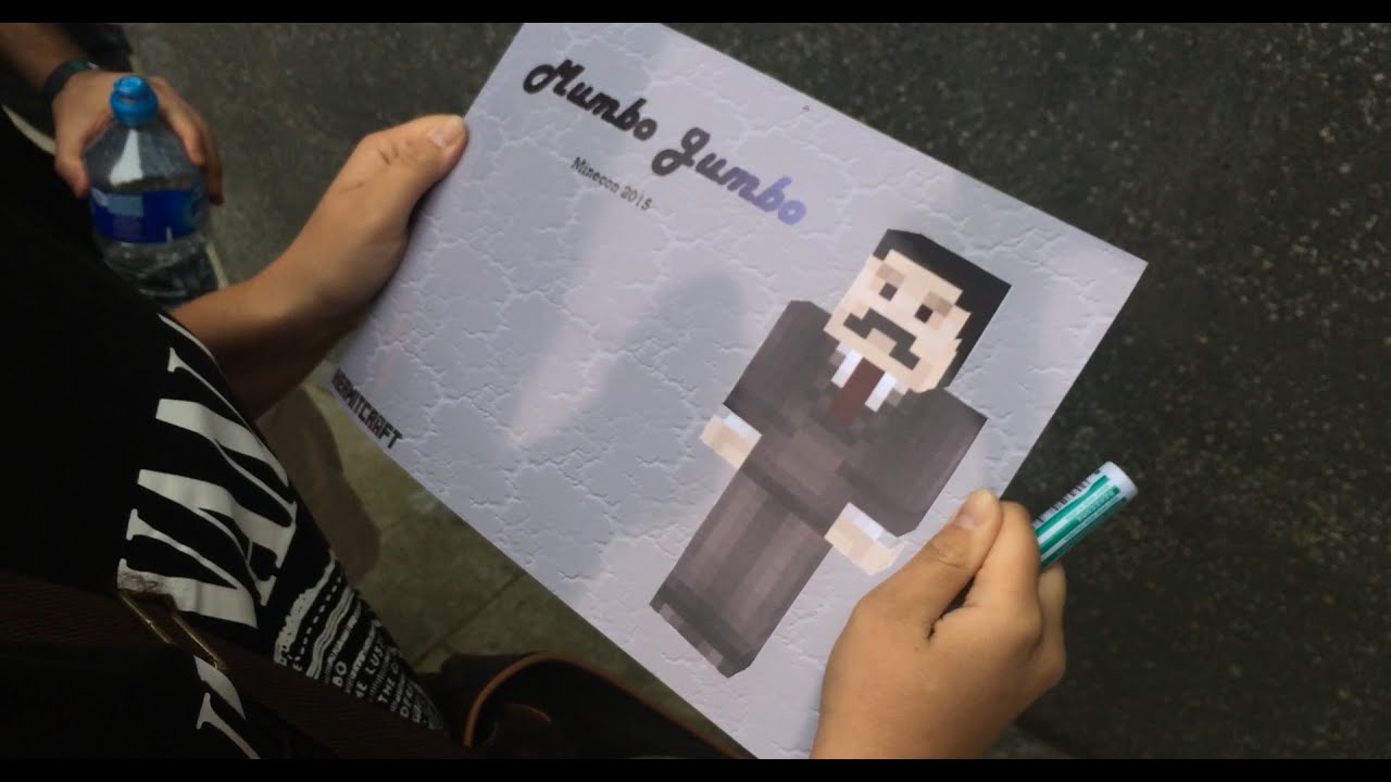 My Minecon Experience: A Brief Montage