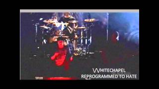 Whitechapel-Reprogrammed To Hate Live [HD]