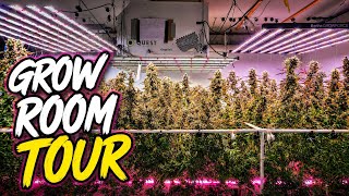 Basement Grow Room Tour