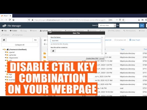 How to disable CTRL key combinations on your webpages?