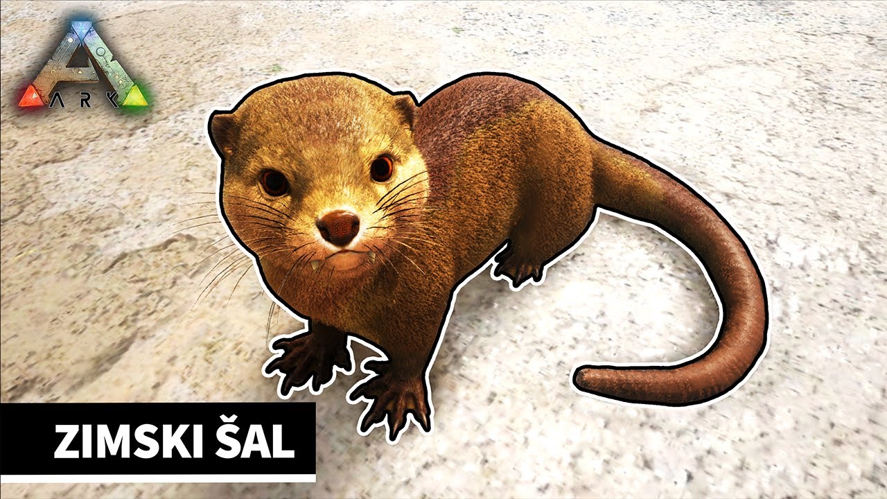 Zimski šal E16 - ARK [SLO]