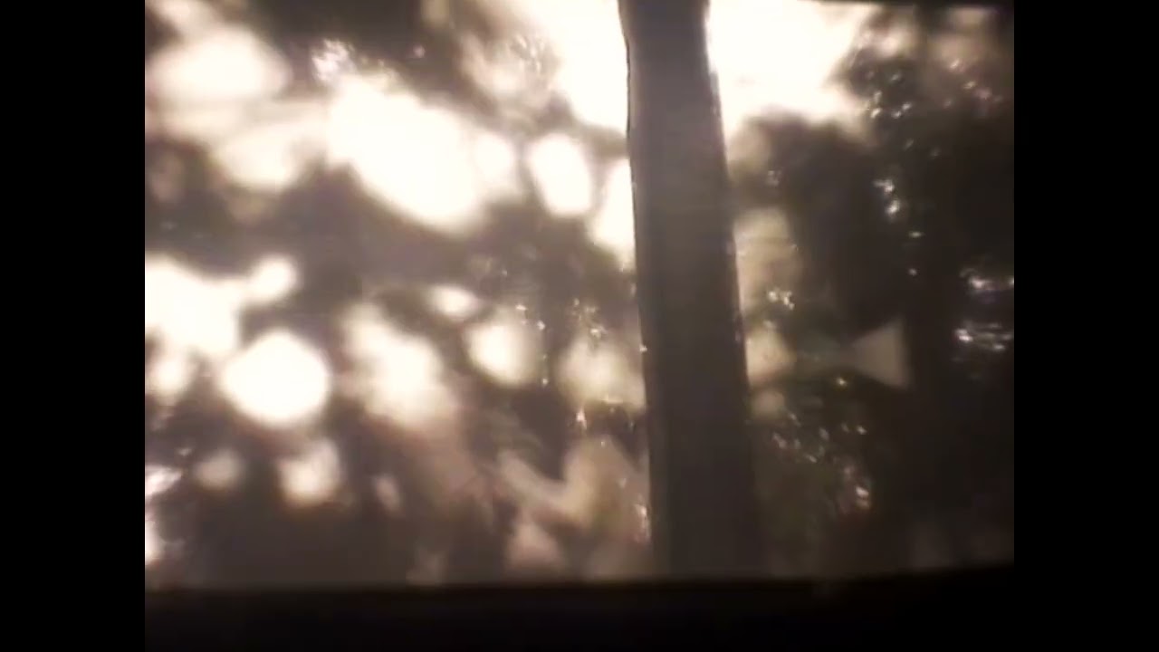 fuzzy ** hair - Wide open air (Official Visualizer)