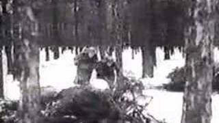 SdKfz 303 Leichte ladungsträger Goliath