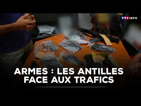 Weapons: The Caribbean facing arms trafficking | TF1 INFO
