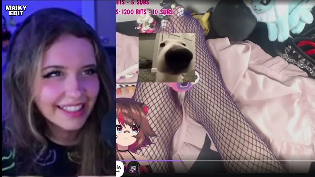 EMI VE LAS PATAS DE RAKKUN (Resubido)