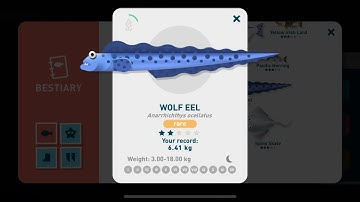 Creatures of the Deep Alaska Wolf Eel