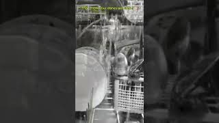You've Never Seen a Dishwasher Like This! 😱